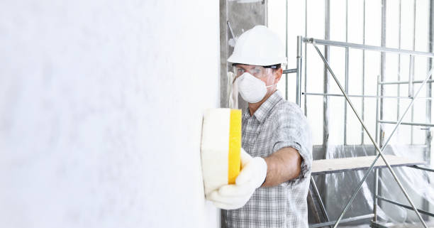 Byron Center, MI Mold Removal Services Company