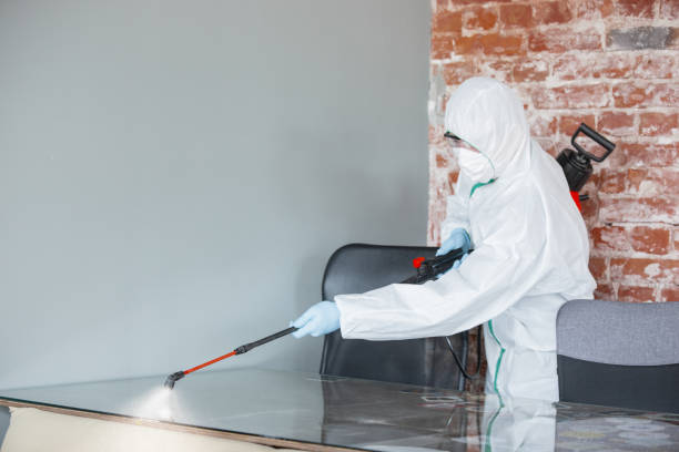 Mold Odor Removal Services in Byron Center, MI