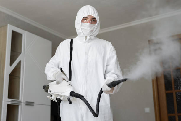 Why You Should Choose Our Mold Remediation Services in Byron Center, MI